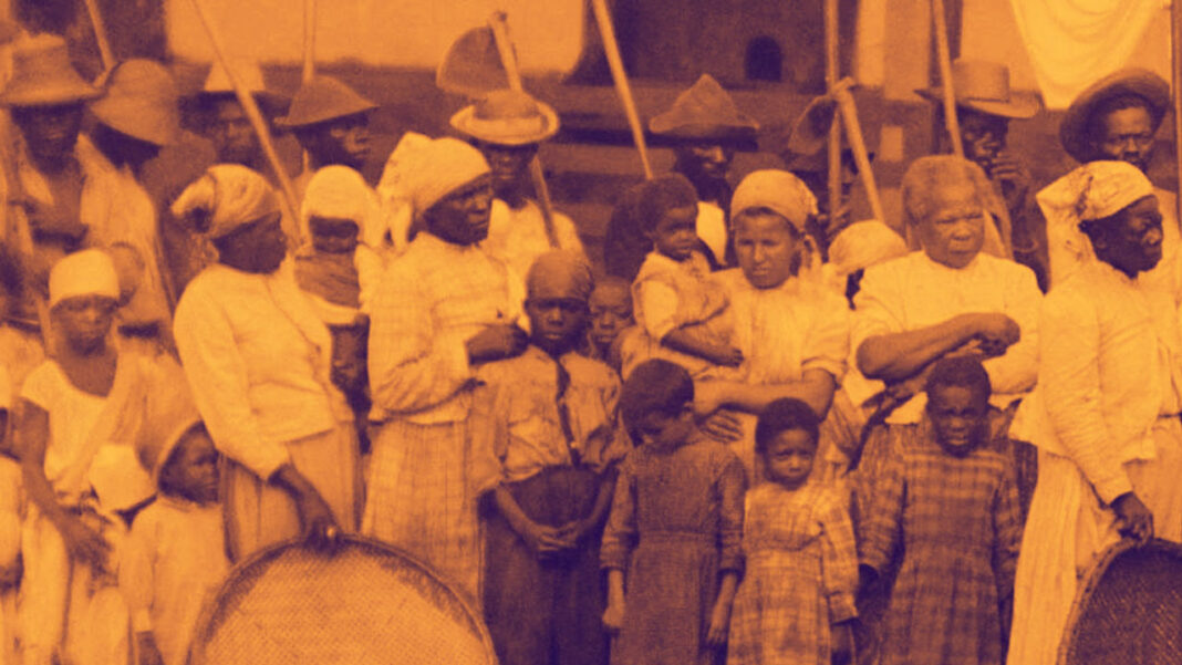 a modernizacao conservadora