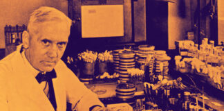 alexander fleming