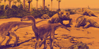 dinossauros brasileiros