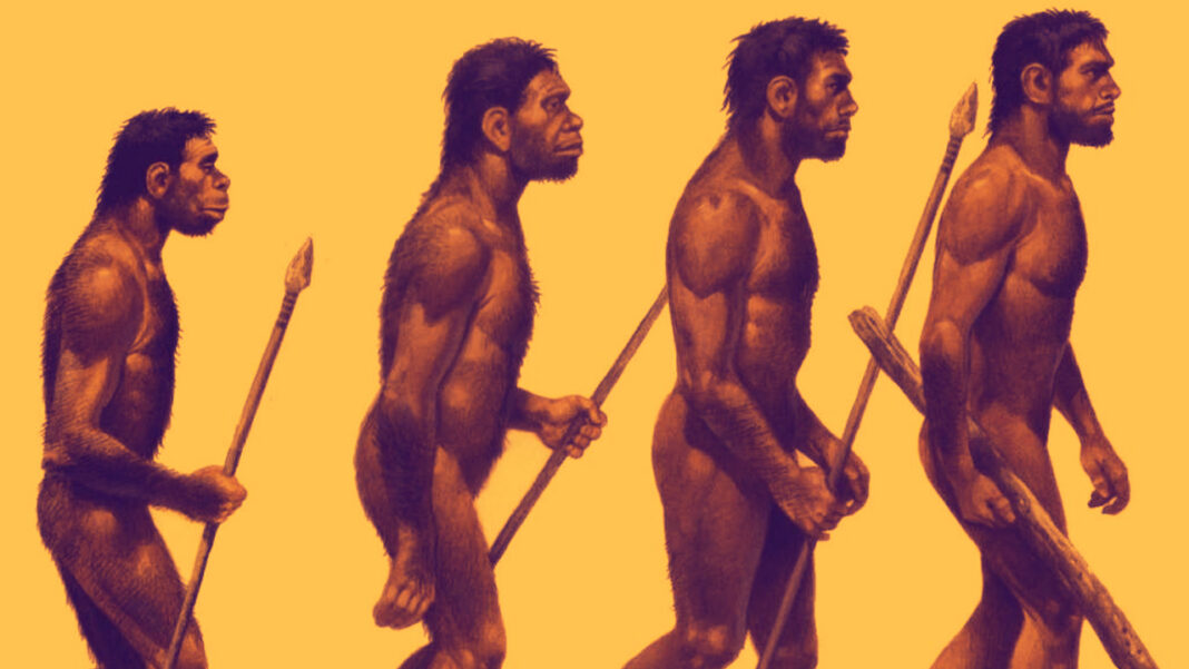 evolucao do homem
