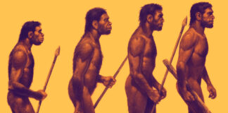 evolucao do homem