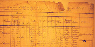 lei eusebio de queiros