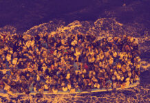 migracoes populacionais