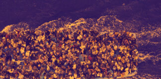 migracoes populacionais