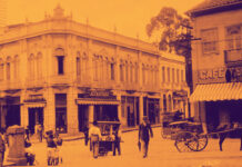 oligarquia paulista do poder