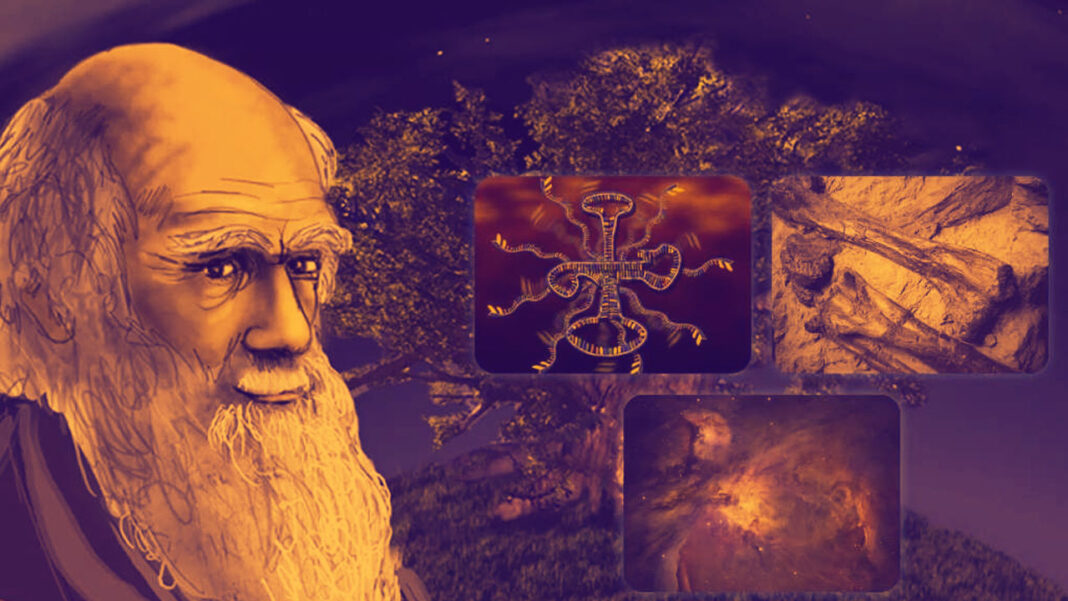 teoria do evolucionismo