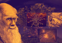 teoria do evolucionismo