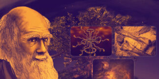 teoria do evolucionismo