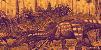theropoda
