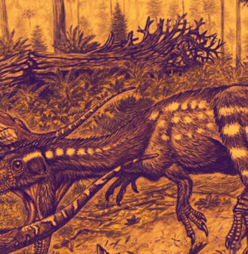 theropoda