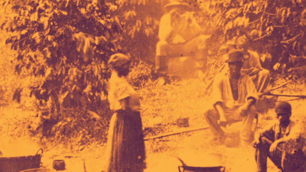 ventos da transformacao