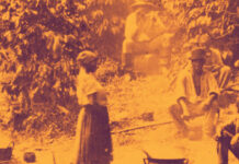 ventos da transformacao