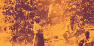 ventos da transformacao