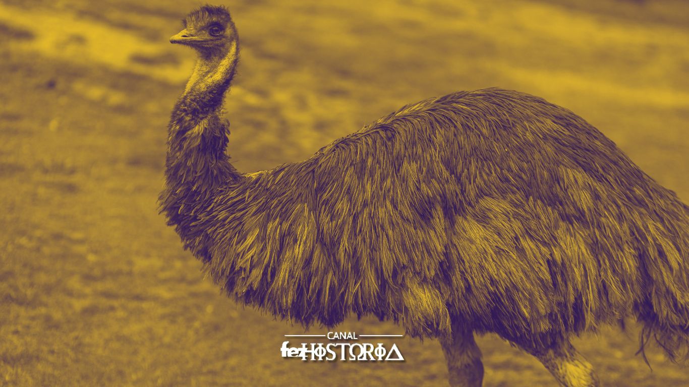 A Guerra dos Emus: Quando a Austrália Perdeu Para... Aves Gigantes