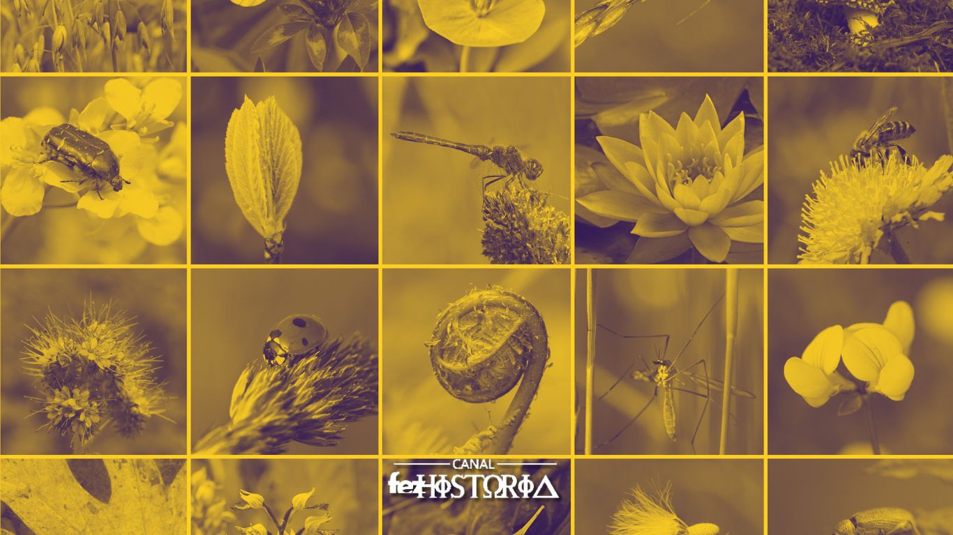 Dia Internacional da Biodiversidade Biológica
