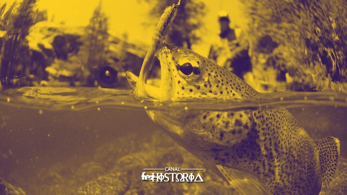 Dia Internacional de Luta contra a Pesca Ilegal