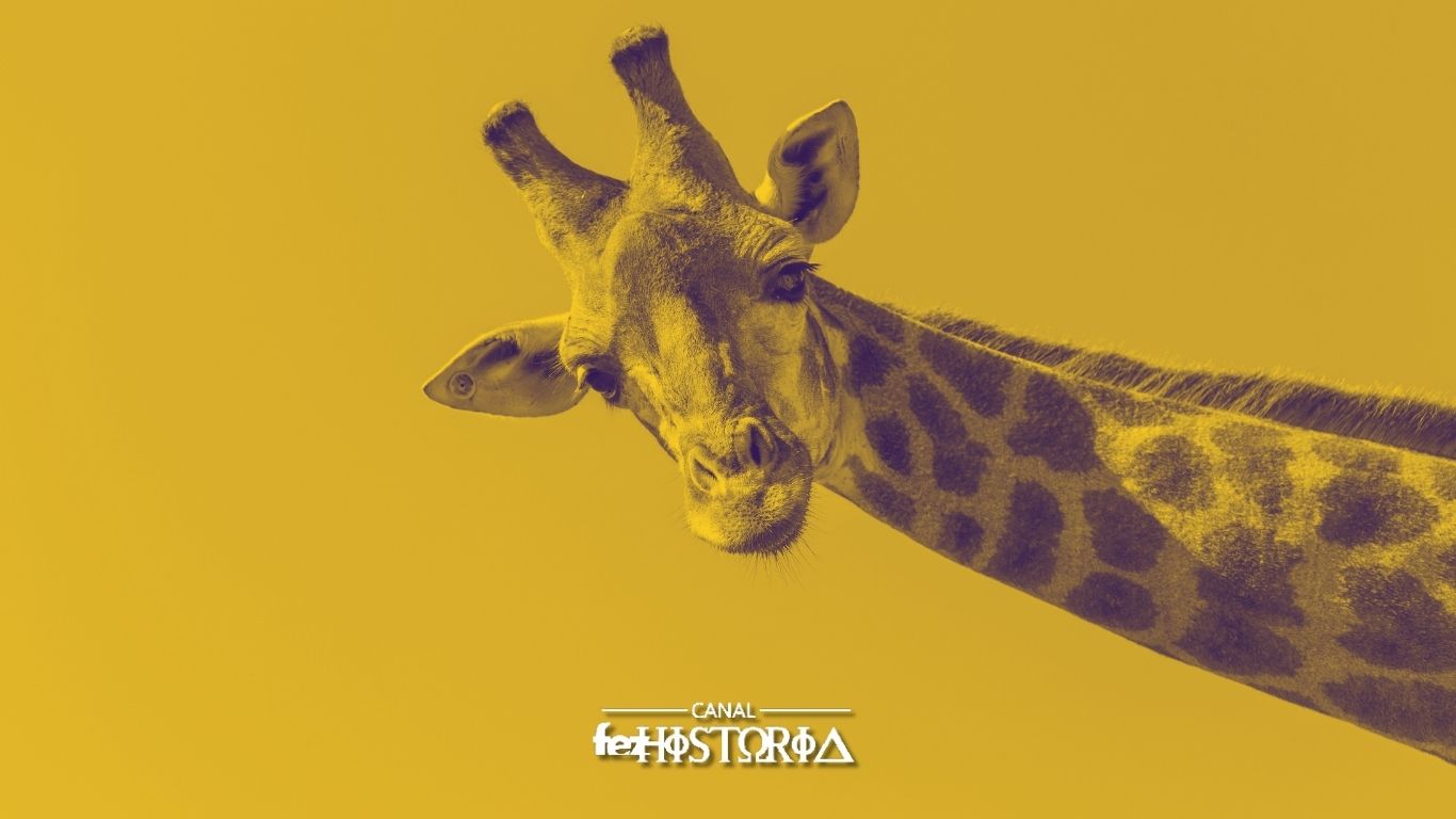 Dia Mundial da Girafa