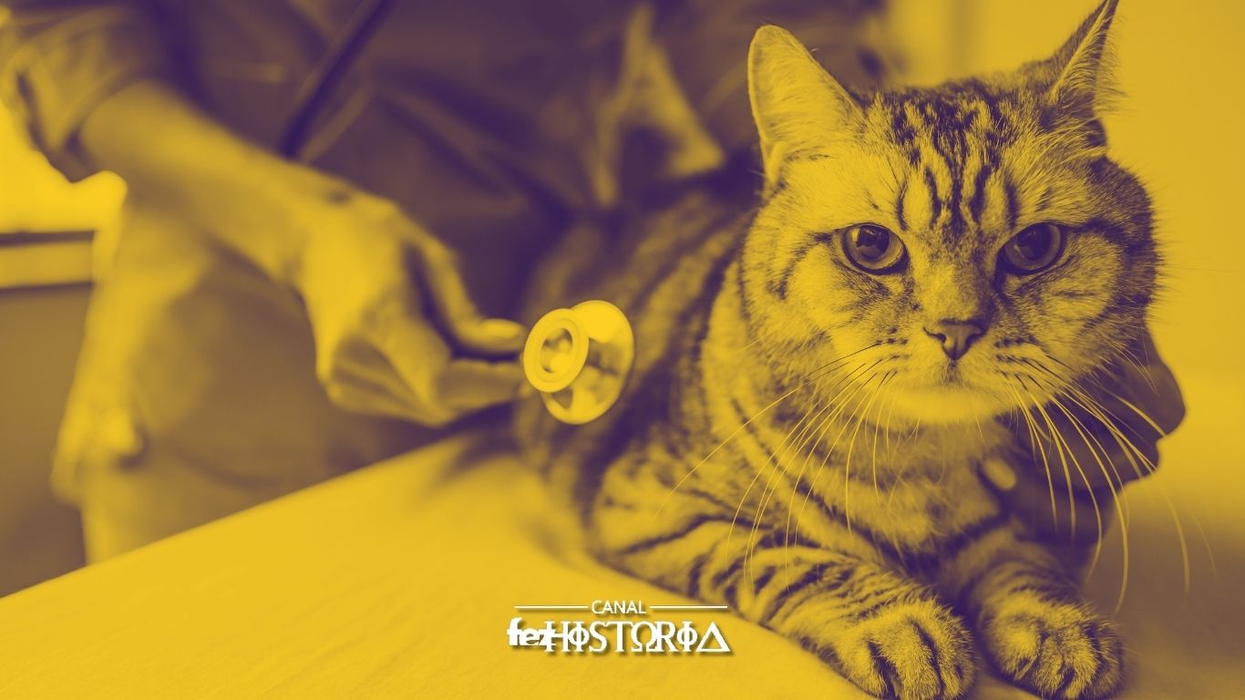 Dia da Medicina Veterinária Militar