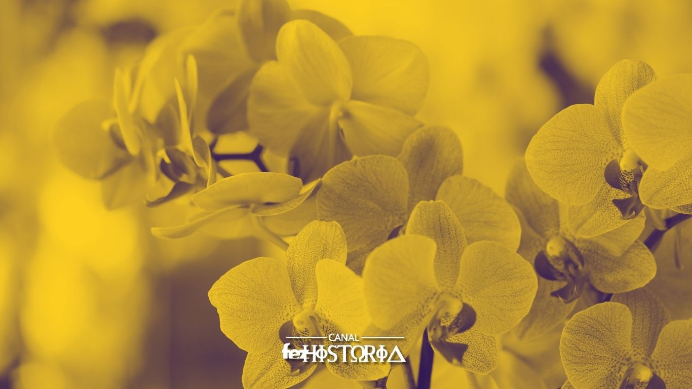 Dia do Orquidófilo