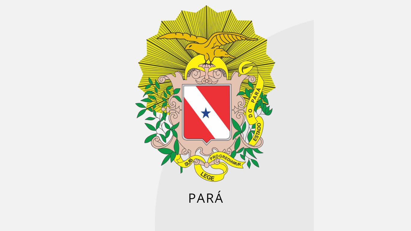 Novo Progresso (PA)