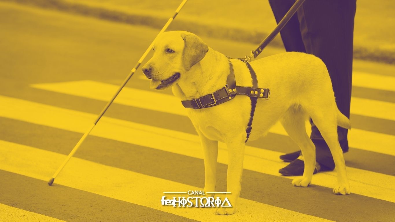 Dia Internacional do Cão-Guia