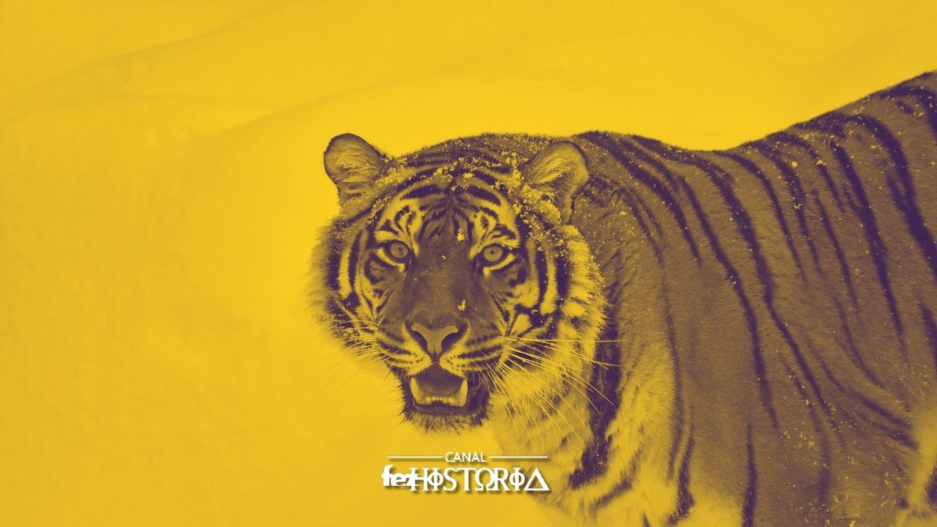 Dia Internacional do Tigre