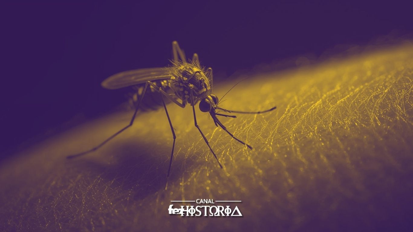 Dia Mundial Contra os Mosquitos