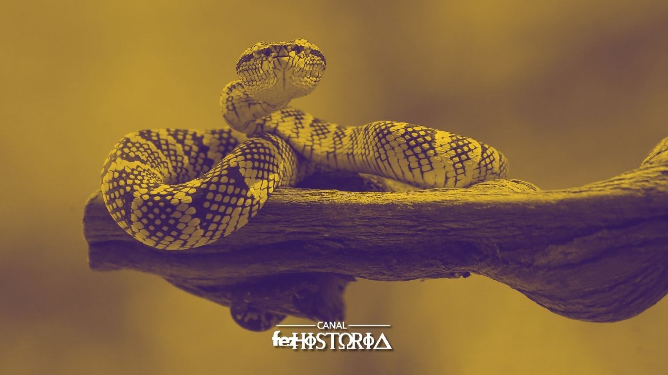 Dia Mundial da Cobra