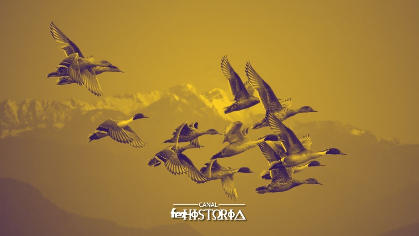 Dia Mundial das Aves Migratórias