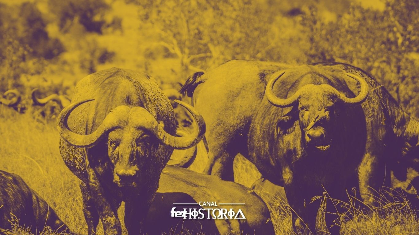 Dia Mundial das Zoonoses