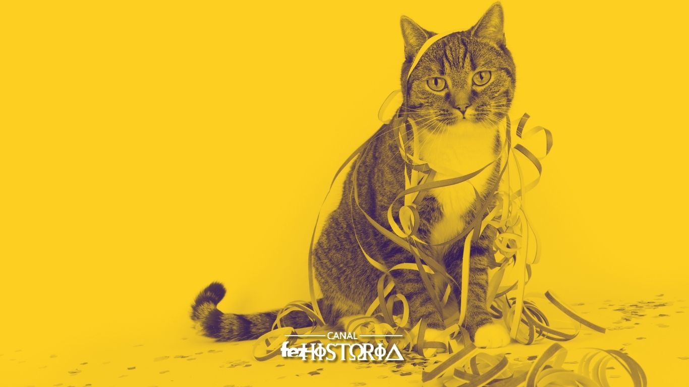 Dia Mundial do Gato