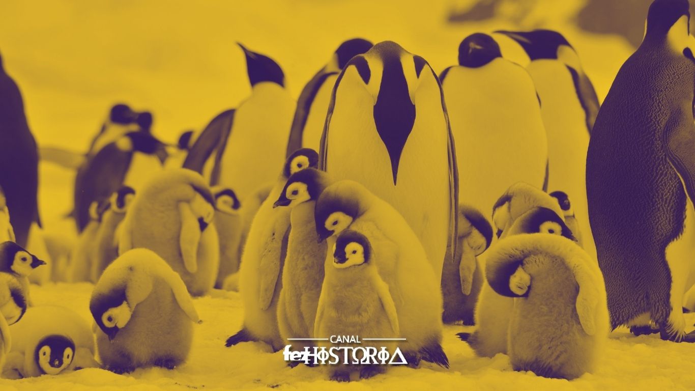 Dia Mundial do Pinguim