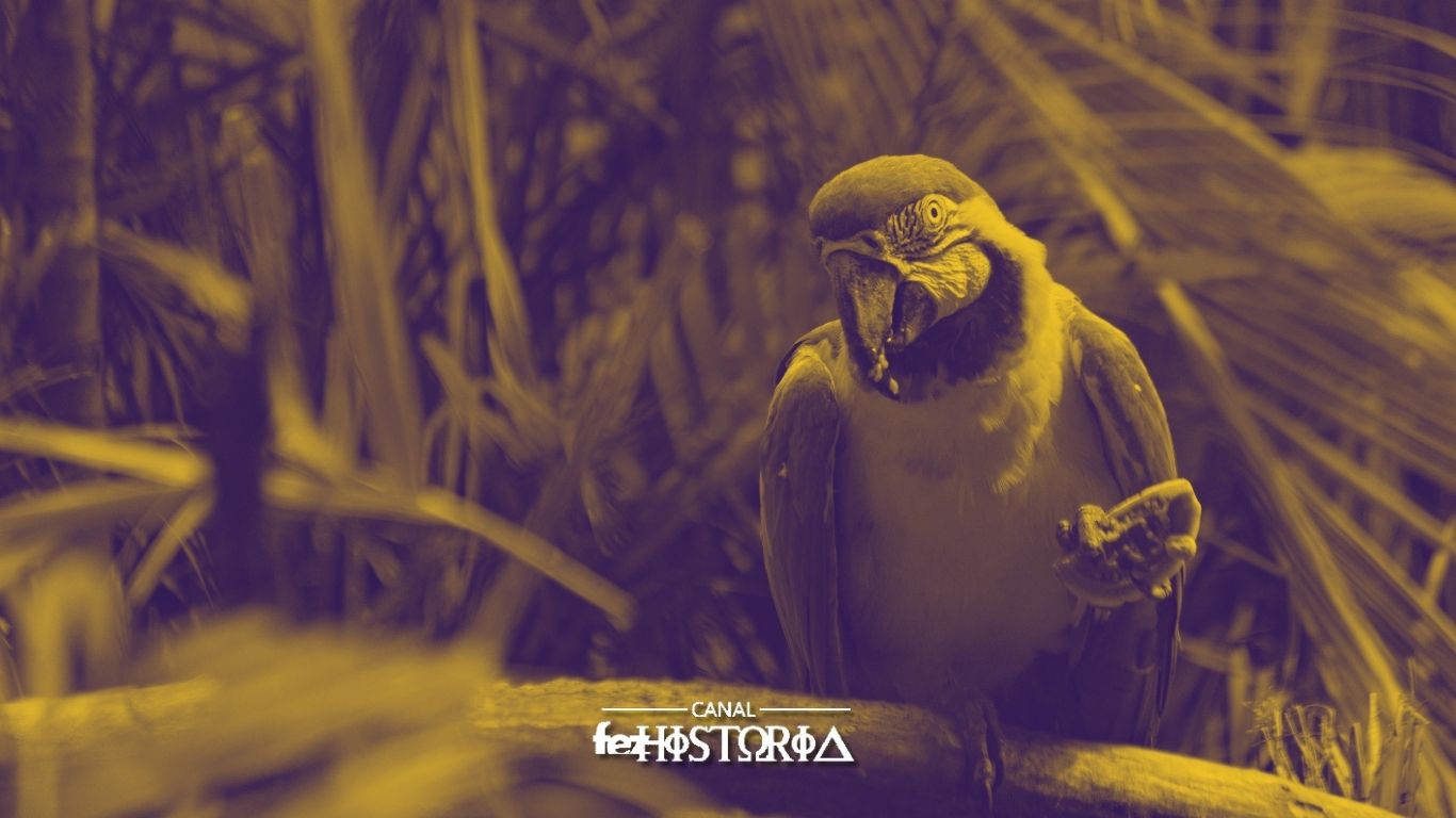 Dia Nacional da Amazônia Azul