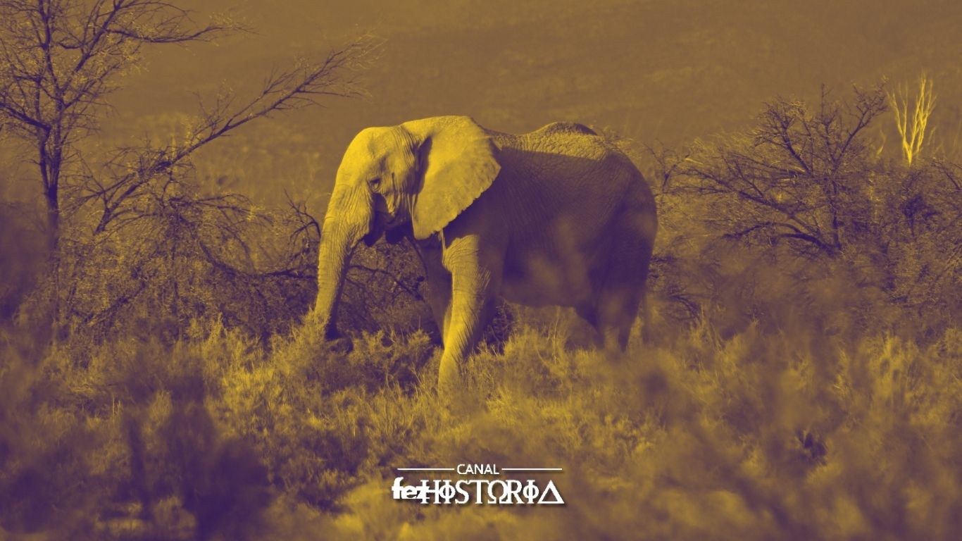 Dia Nacional das Reservas Particulares do Patrimônio Natural