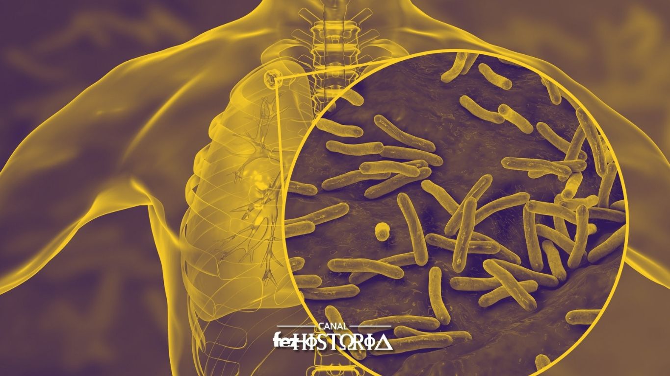 Dia Nacional de Combate à Tuberculose