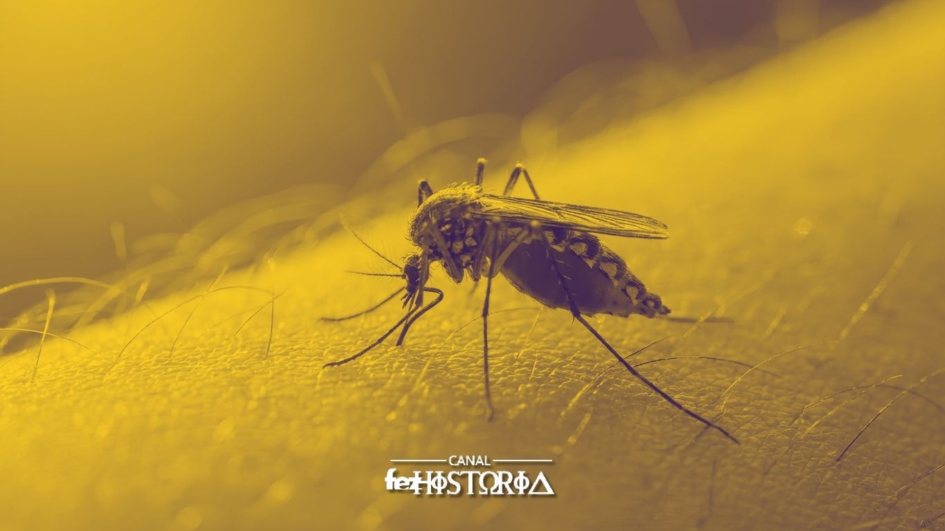 Dia Nacional de Combate ao Dengue