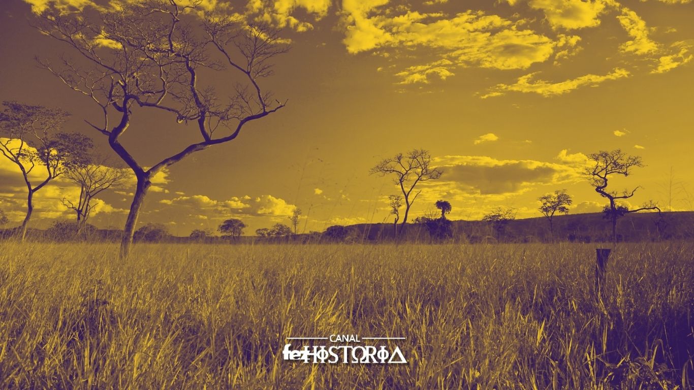 Dia Nacional do Cerrado