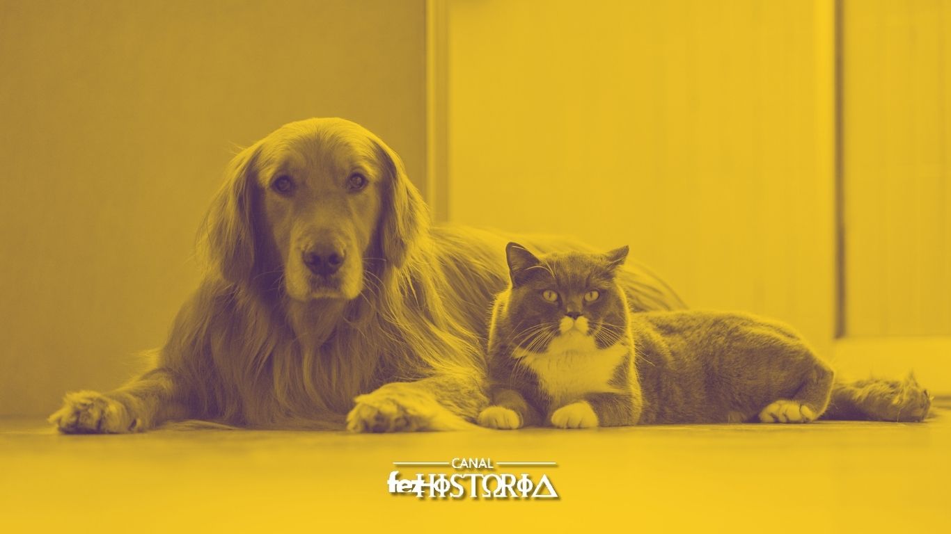 Dia Nacional dos Animais