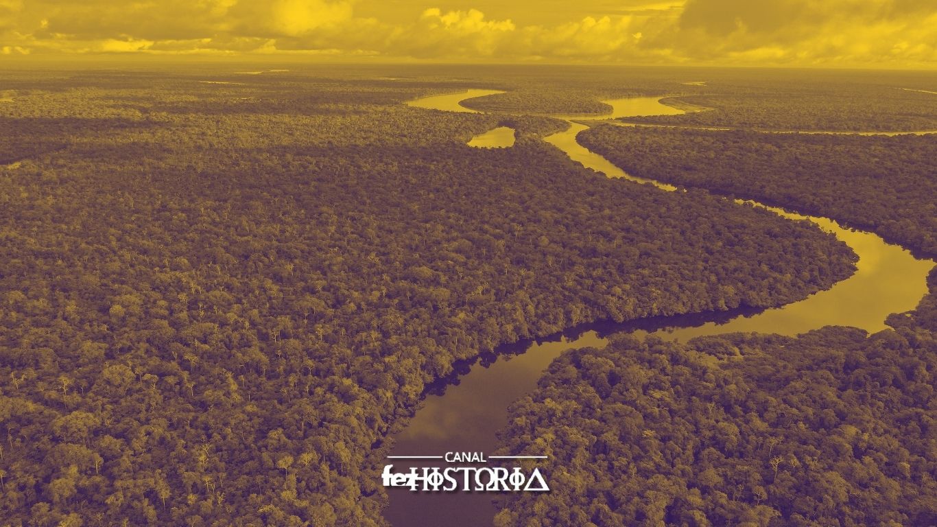 Dia da Amazônia