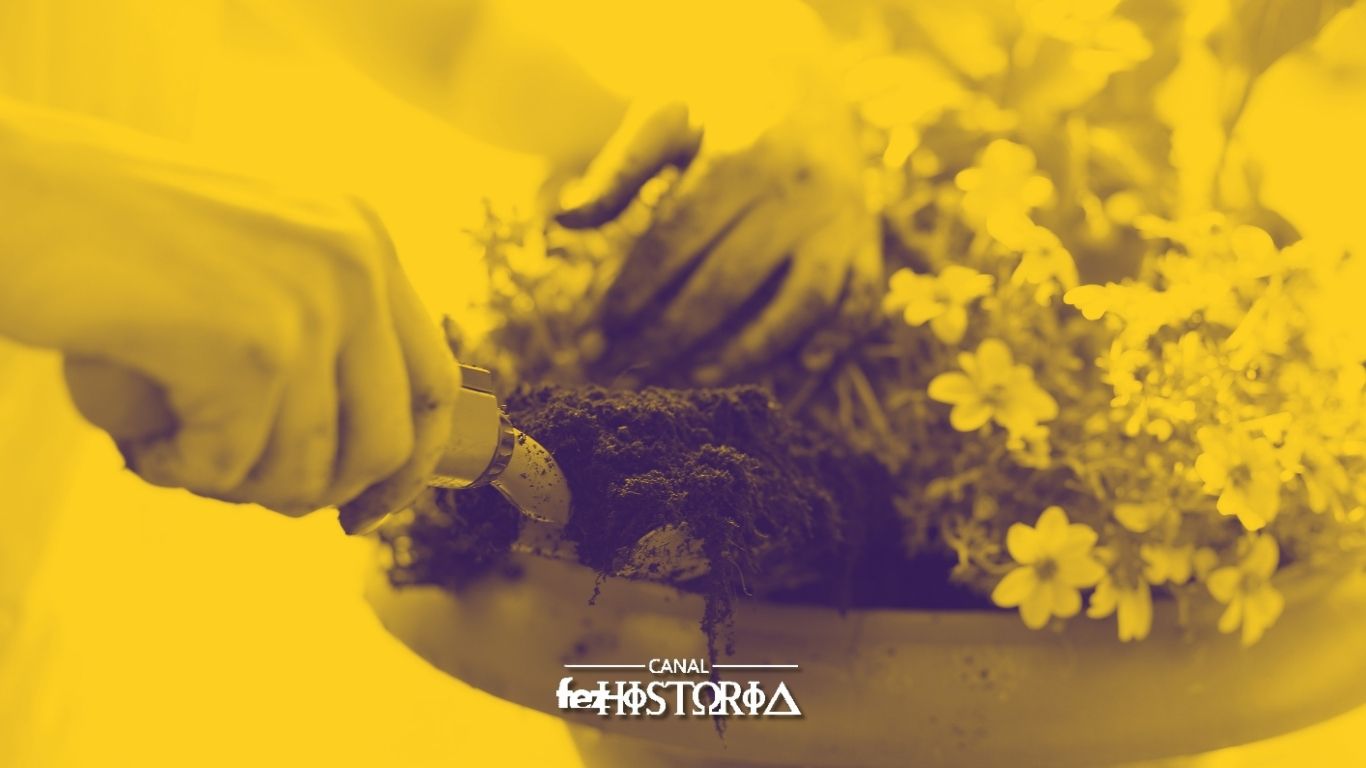 Dia de Levar suas Plantas para Passear