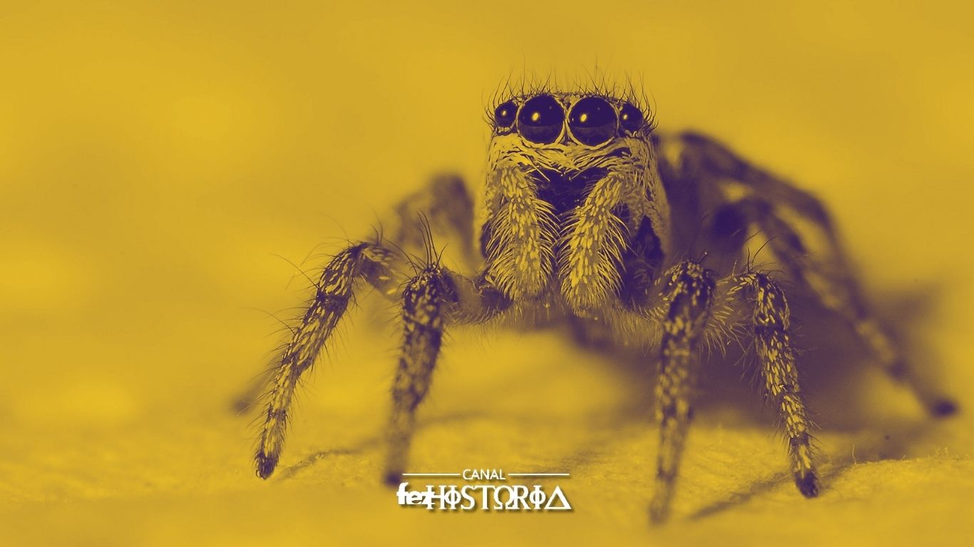 Dia de Salvar uma Aranha