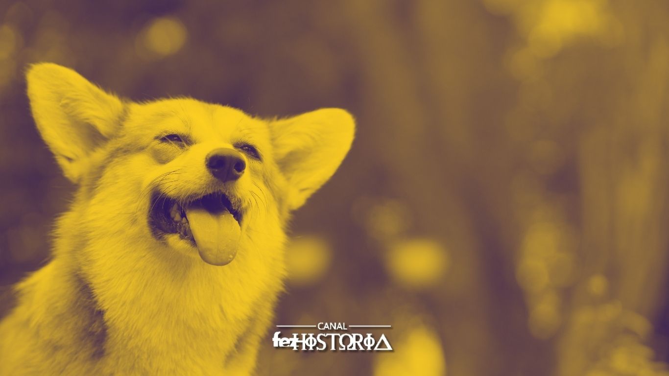 Dia do Cachorro