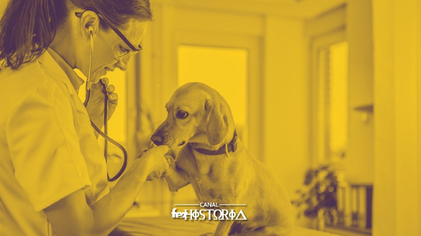 Dia do Médico Veterinário