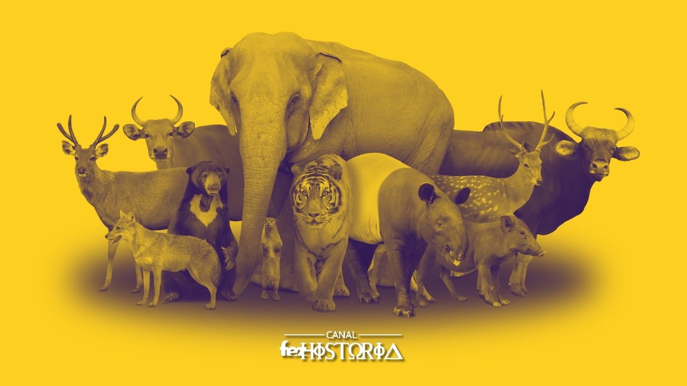 Dia dos Animais